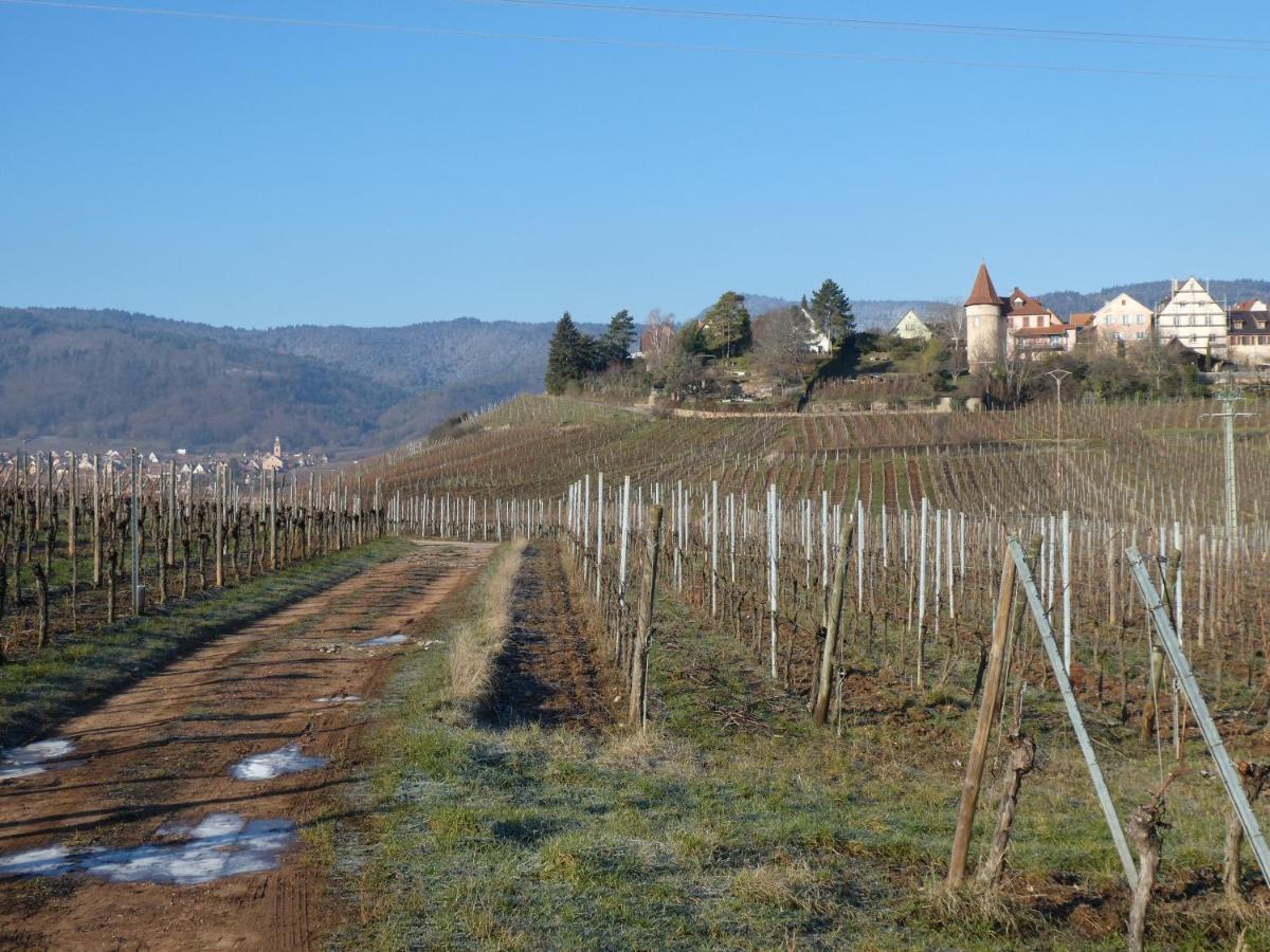 La Maison Du Bonheur Villa Zellenberg Luaran gambar